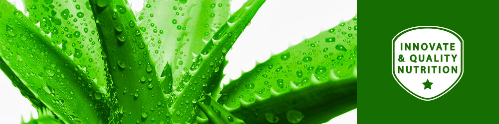 Jugo de Aloe Vera