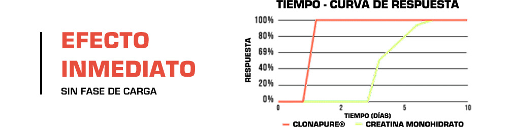 Creatine (Clonapure®) 02