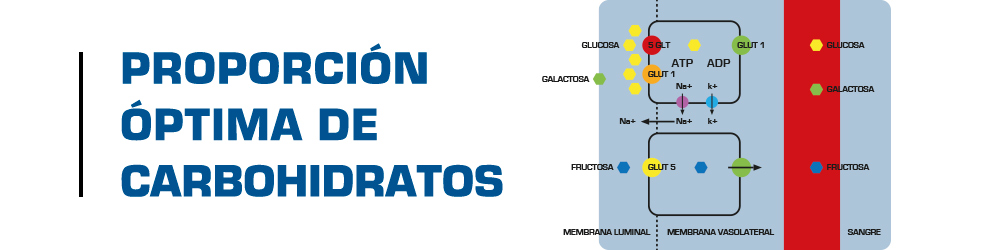Hypotonic Hydration 03