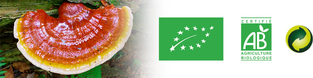 Reishi BIO