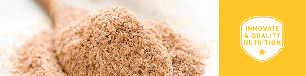 Salvado de Avena