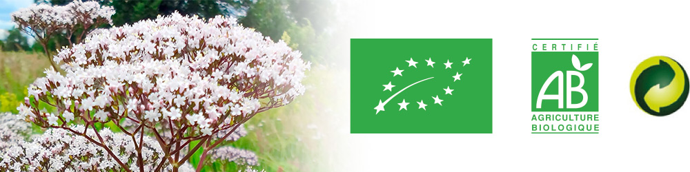 Valeriana BIO