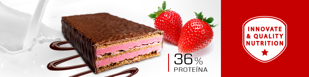 Whey Protein Bar